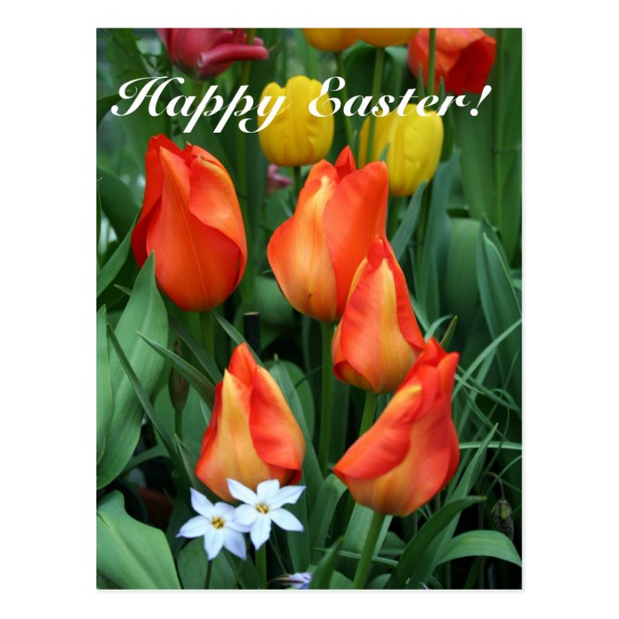 Happy Easter, He is risen Post Cards