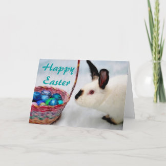 Happy Easter                       ... Holiday Card