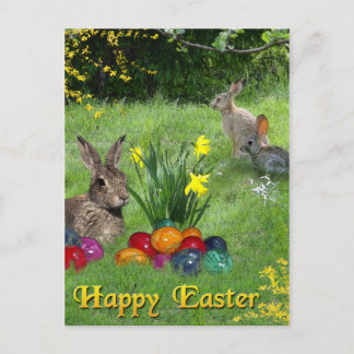 Happy Easter Holiday Postcard