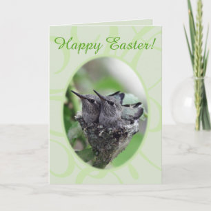Happy Easter Hummingbirds in Nest Photo Holiday Card