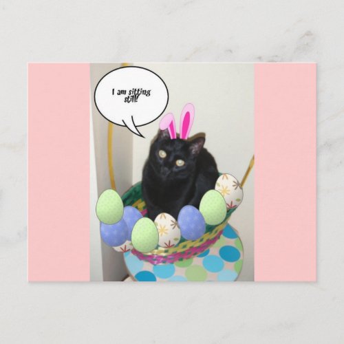 Happy Easter Kitty Holiday Postcard