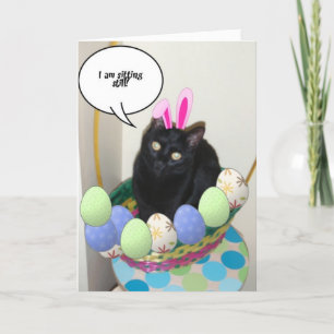 Happy Easter Kitty Humor Holiday Card