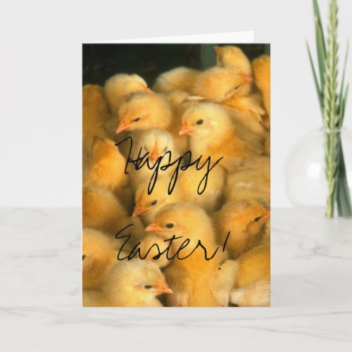 Happy Easter Lots of Chicks Holiday Card