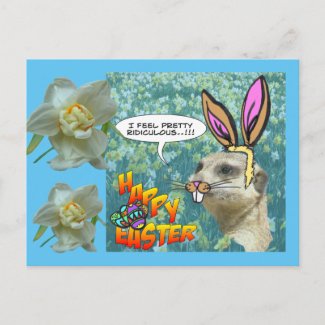 Happy Easter Meerkat Daffodils Postcard