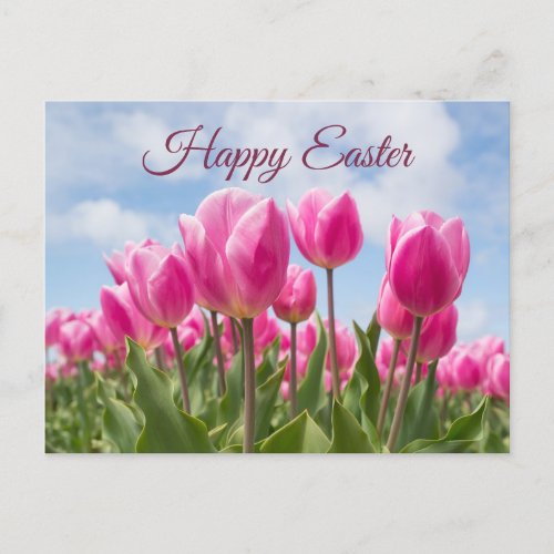 Happy Easter Pink Tulip Flowers  Postcard