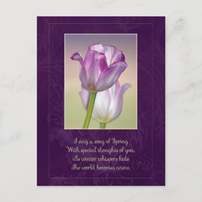 Happy Easter Postcard / Easter Tulips (Front)