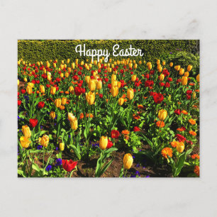 Happy Easter Red & Yellow Tulips #1 Postcard