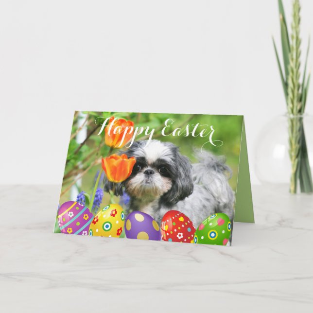 Happy Easter Shih Tzu Girl Greeting Card (Front)