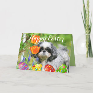 Happy Easter Shih Tzu Girl Greeting Card