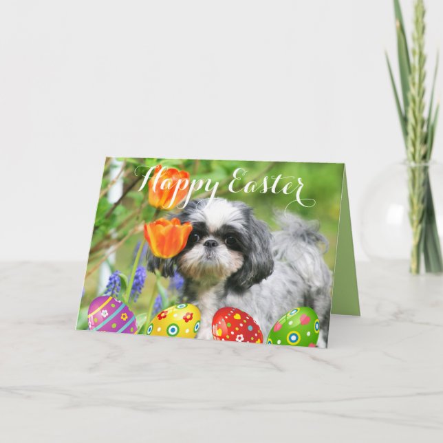 Happy Easter Shih Tzu Girl Greeting Card (Front)