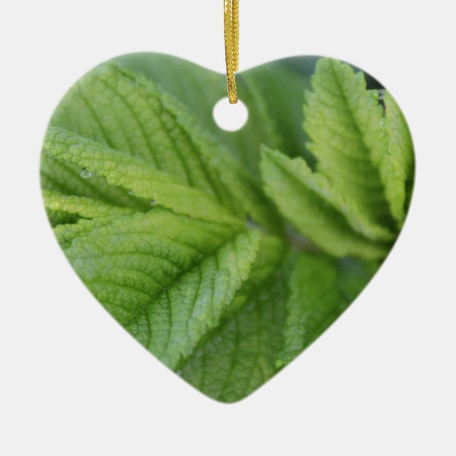 Happy Easter spring green leaves Ceramic Ornament (Front)