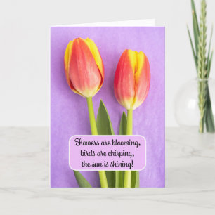Happy Easter Spring is here For Anyone Tulips on P Holiday Card