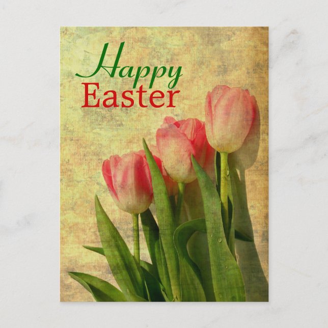 Happy Easter Spring Tulips Postcards (Front)