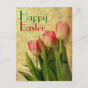 Happy Easter Spring Tulips Postcards