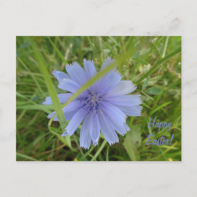 Happy Easter Sweet Blue Flower Card (Front)