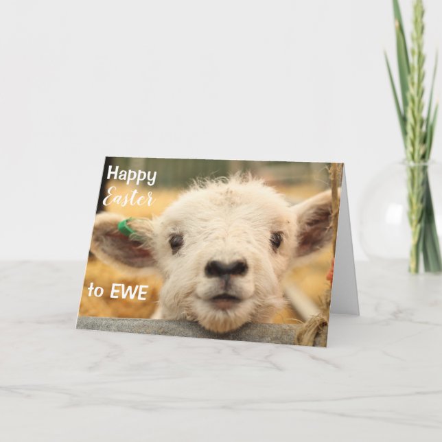 Happy Easter to EWE. Holiday Card (Front)