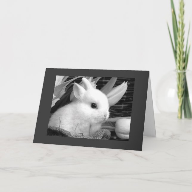 HAPPY EASTER TO MY "HONEY BUNNY" HOLIDAY CARD (Front)