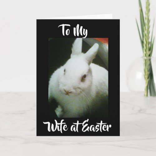 HAPPY EASTER to MY WIFE U MEAN THE WORLD Holiday Card