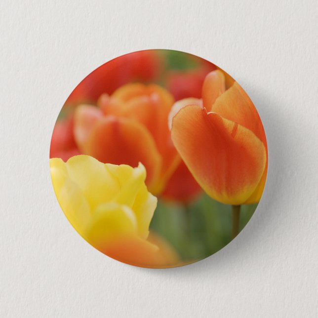 Happy Easter Tulips Pinback Button (Front)