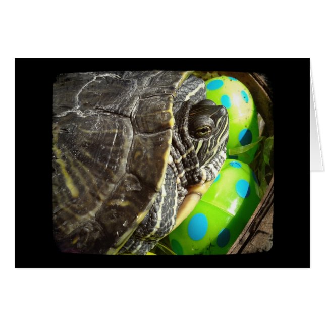 Happy Easter Turtle Cards (Front Horizontal)