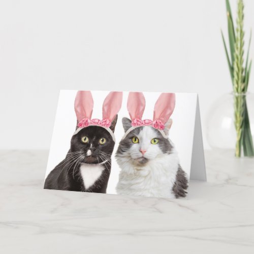 Happy Easter Two Cute Cats in Bunny Ears Humor Holiday Card