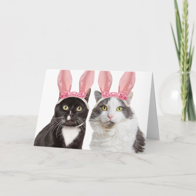 Happy Easter Two Cute Cats in Bunny Ears Humor Holiday Card (Front)