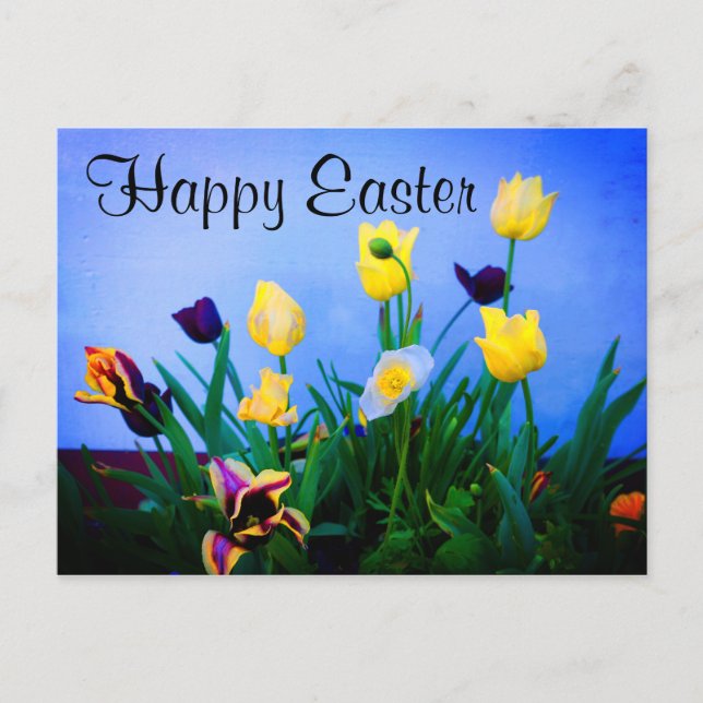 Happy Easter Various Tulips #2 Postcard (Front)
