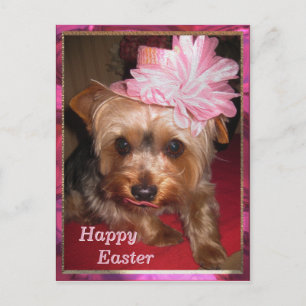 Happy Easter Yorkie Holiday Postcard