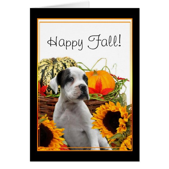 Happy Fall boxer puppy greeting card