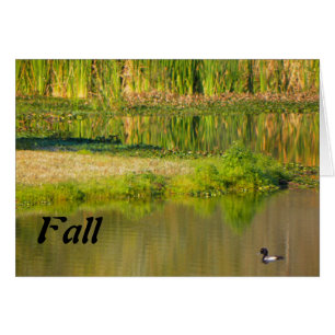 Happy Fall, Pond with Duck Cards
