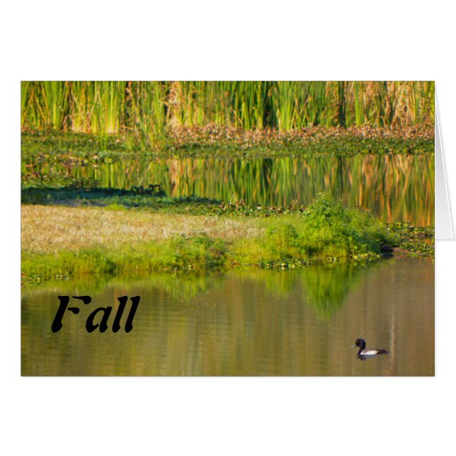 Happy Fall, Pond with Duck Cards (Front Horizontal)