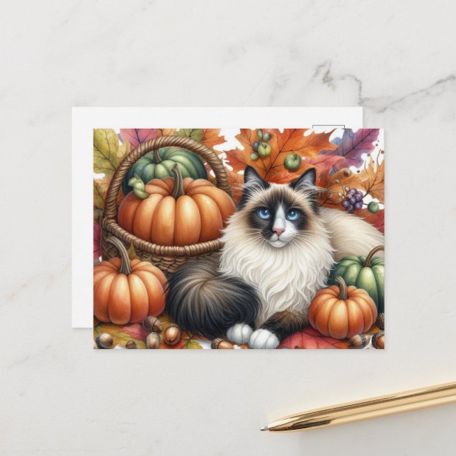 Happy Fall Ragdoll Cat Autumn Postcard (Front/Back In Situ)