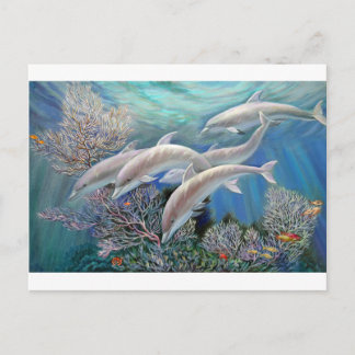 Happy_Family_-_Dolphins_Are_Awesome.JPG Postcard