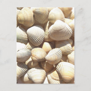 Happy Father´s Day, Seashells, Photo Summer Beach Postcard