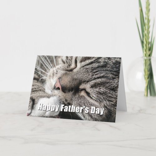 Happy Fathers Day Sleepy Cat Card