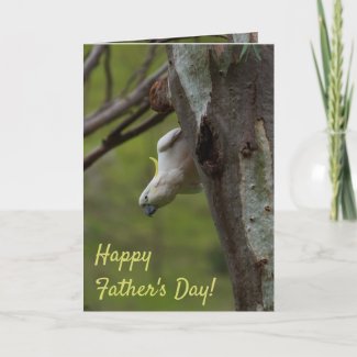 Happy Father's Day Bird Cockatoo