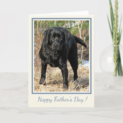 Happy Fathers Day _ Black Labrador Duck Dog Card