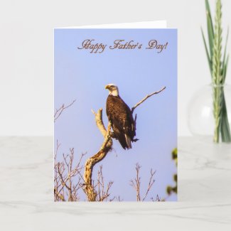 Happy Fathers Day!