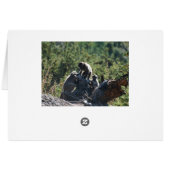 Happy Father's Day Cards (Back Horizontal)