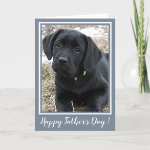 Fathers Day Labrador Cards Zazzle