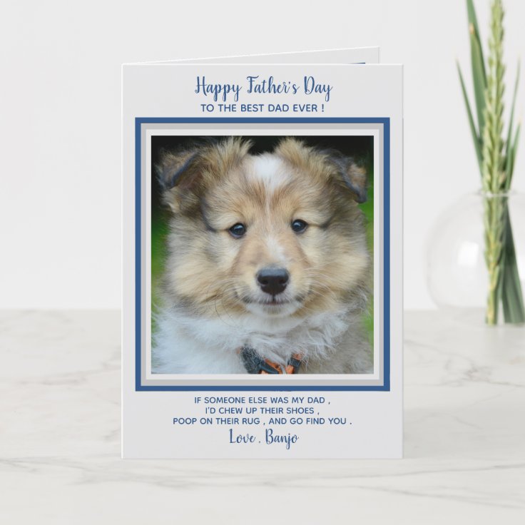 Happy Father's Day- Cute Funny Dog Dad - Pet Photo Thank You Card | Zazzle