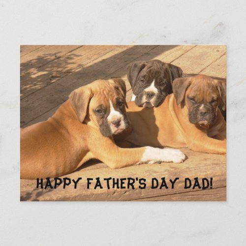 Happy Fathers Day Dad Boxer greeting card