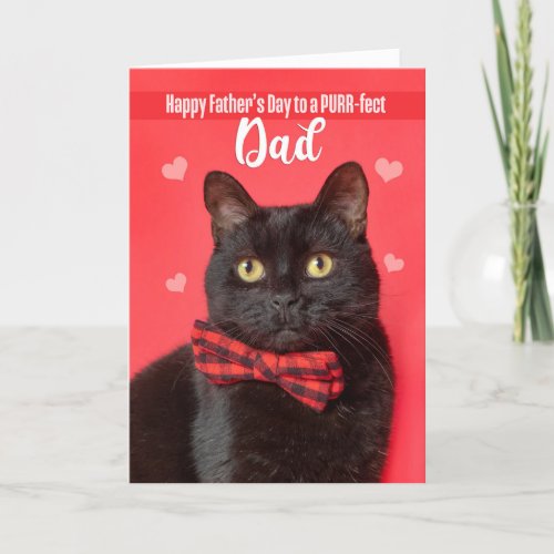 	Happy Fathers Day Dad Cute Cat in Bow Tie Humor  Holiday Card