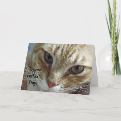 Happy Fathers Day from Cat Card