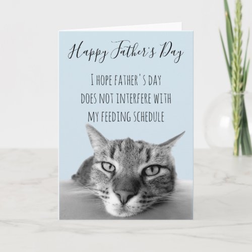 Happy Fathers Day From Cat To Human Humor Card