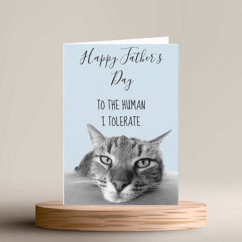 Happy Fathers Day  From Cat To Human I Funny Card