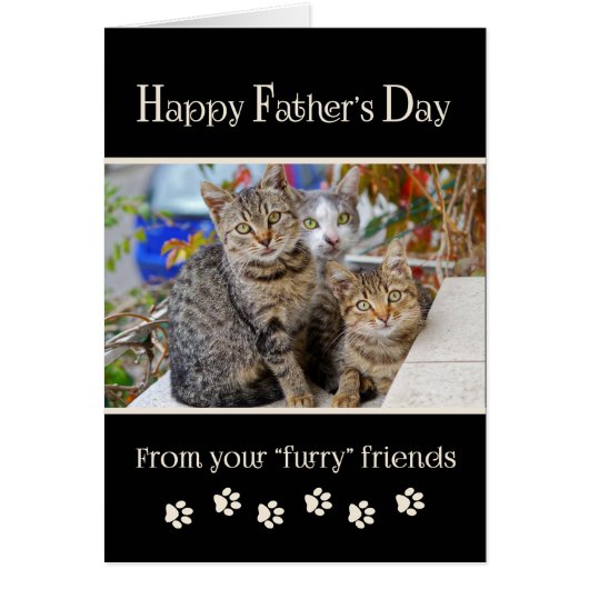 Happy Father's Day from Cats - photo (Front)