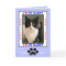Happy Father's Day from the Cat -- Your Photo
