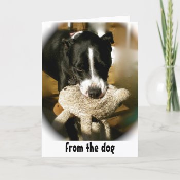 Happy Father's Day From The Dog Card by Rebecca_Reeder at Zazzle