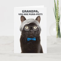 Happy Father's Day Grandpa Old Man Cat Humor